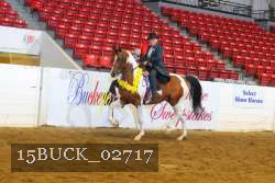 15BUCK_02717 proof