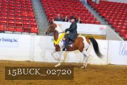 15BUCK_02720 proof