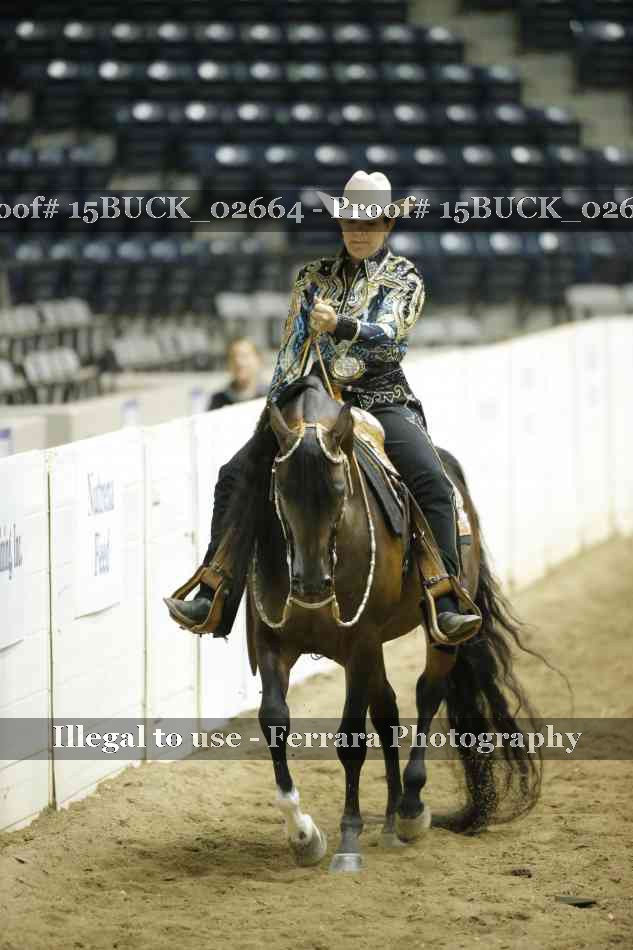 Proof 15BUCK_02664