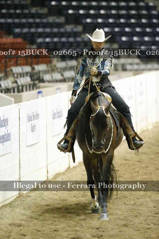 Proof 15BUCK_02665