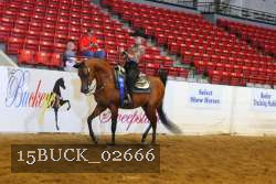 15BUCK_02666 proof