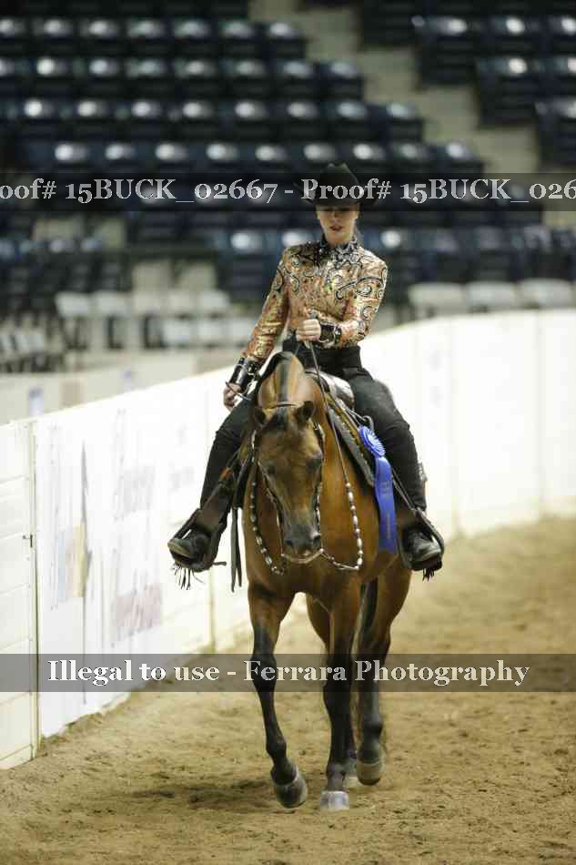 Proof 15BUCK_02667