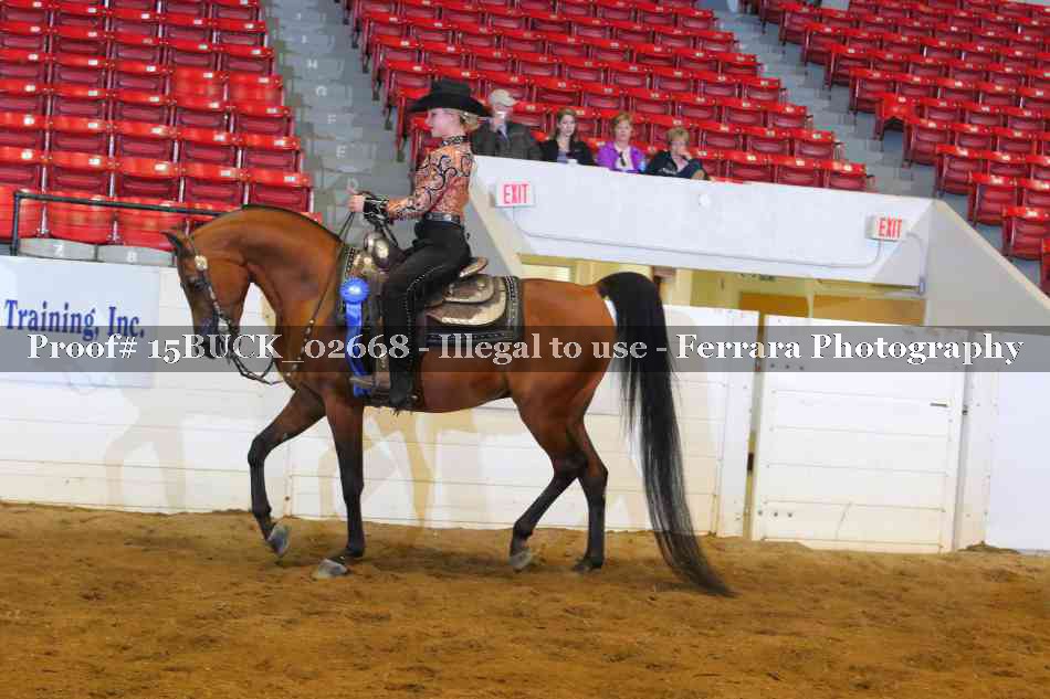 Proof 15BUCK_02668