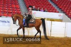 15BUCK_02668 proof