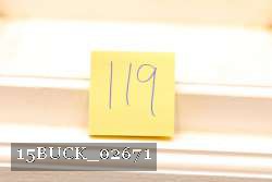 15BUCK_02671 proof