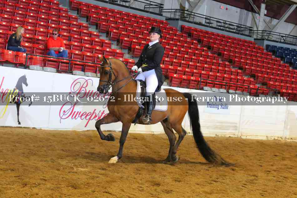 Proof 15BUCK_02672