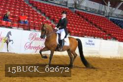 15BUCK_02672 proof