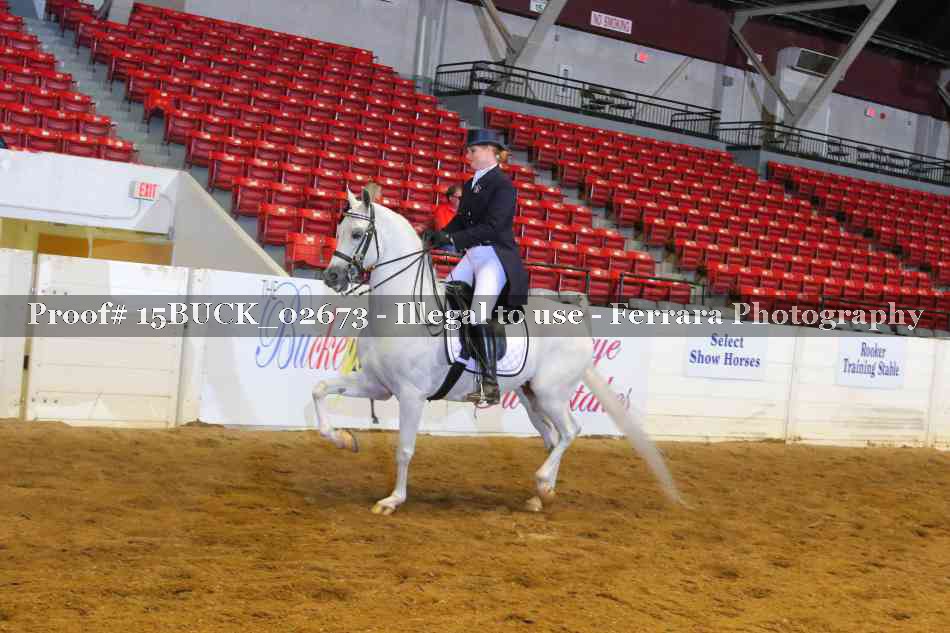 Proof 15BUCK_02673