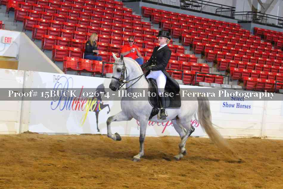 Proof 15BUCK_02674