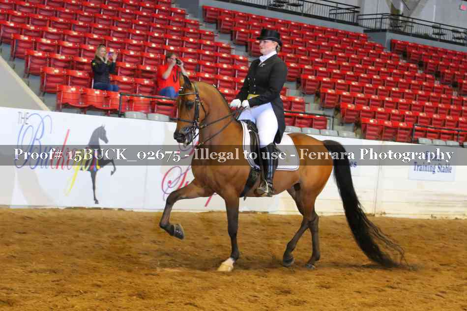 Proof 15BUCK_02675