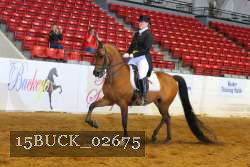 15BUCK_02675 proof