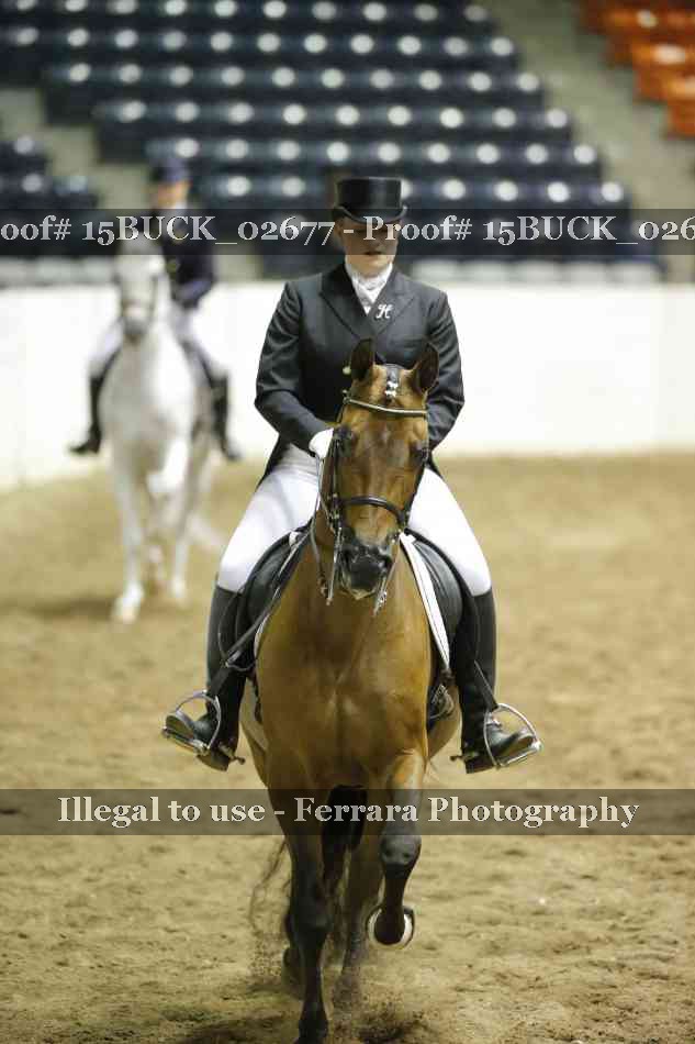 Proof 15BUCK_02677