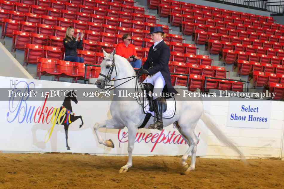 Proof 15BUCK_02678