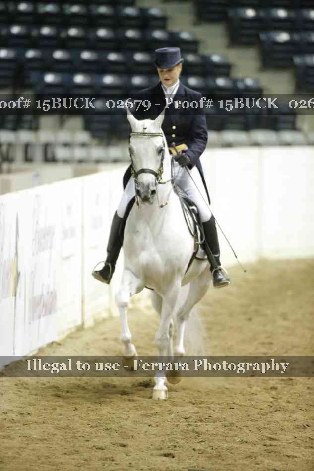 Proof 15BUCK_02679