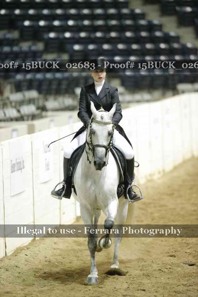 Proof 15BUCK_02683