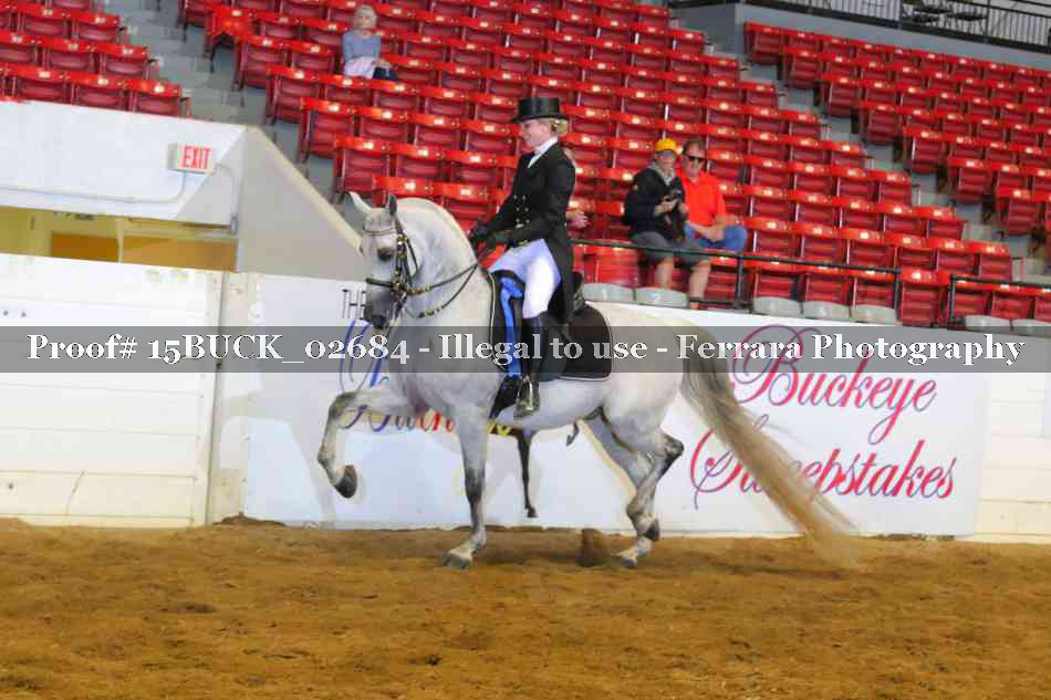 Proof 15BUCK_02684