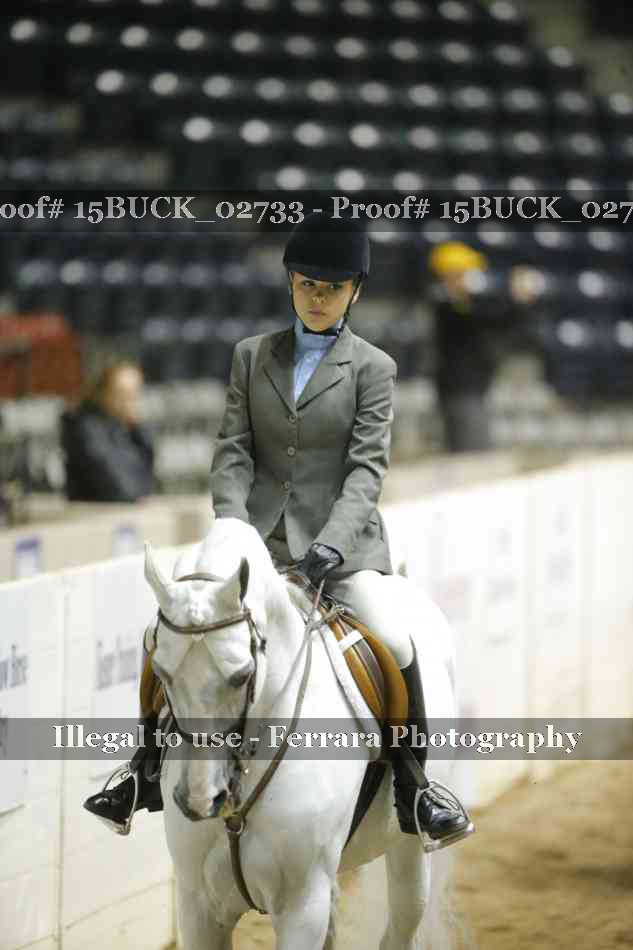 Proof 15BUCK_02733