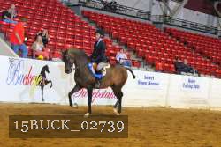 15BUCK_02739 proof