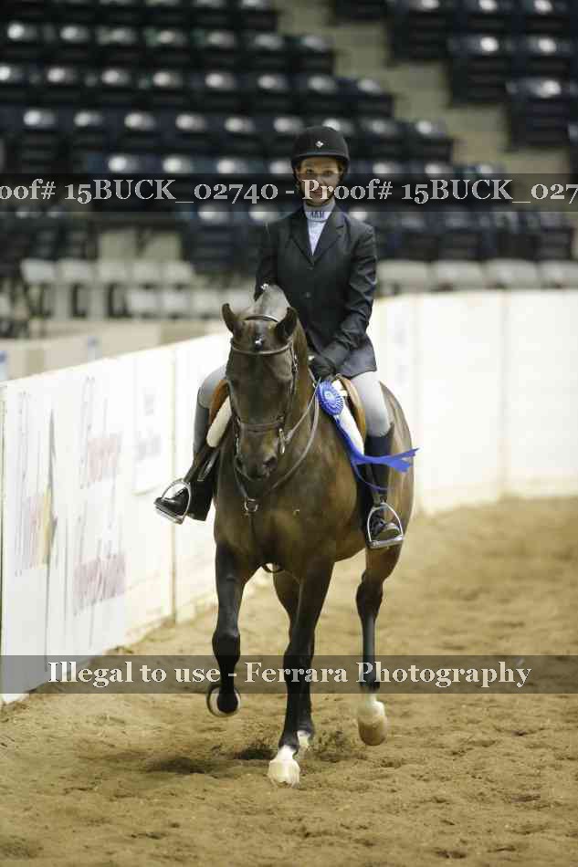 Proof 15BUCK_02740