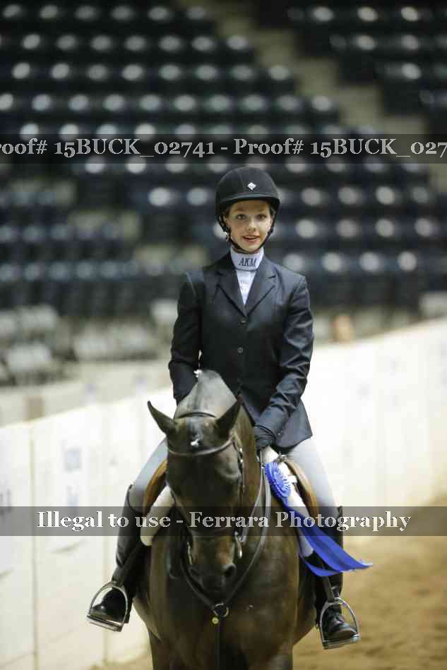 Proof 15BUCK_02741