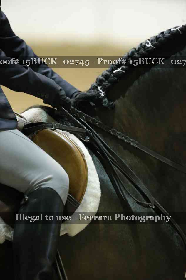 Proof 15BUCK_02745