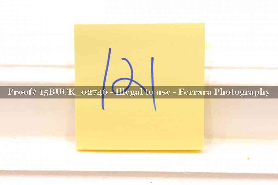 Proof 15BUCK_02746