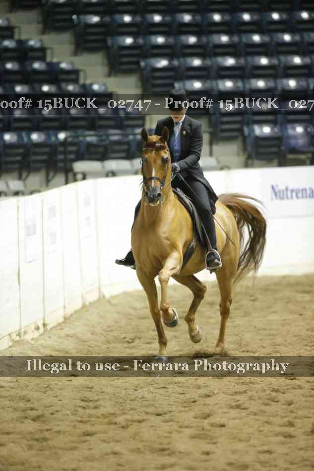 Proof 15BUCK_02747