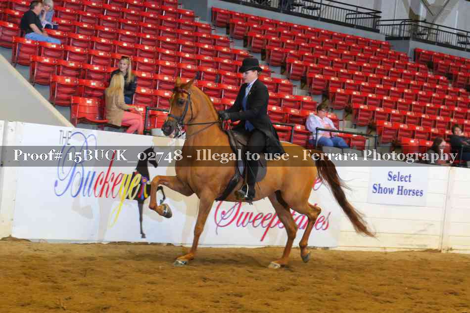 Proof 15BUCK_02748