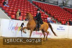 15BUCK_02748 proof