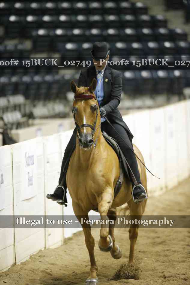 Proof 15BUCK_02749