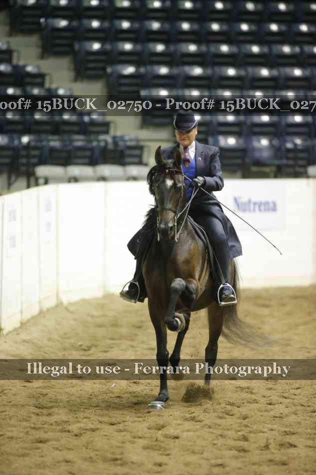 Proof 15BUCK_02750