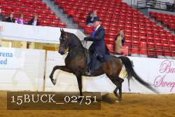 15BUCK_02751 proof