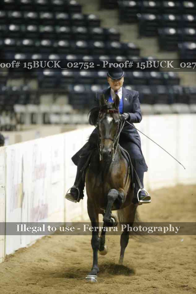 Proof 15BUCK_02752