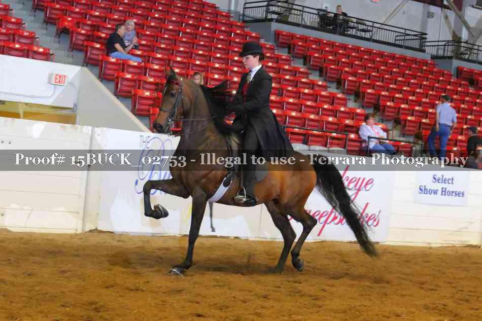 Proof 15BUCK_02753