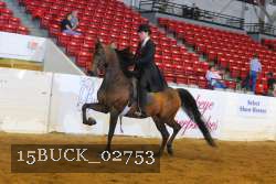 15BUCK_02753 proof