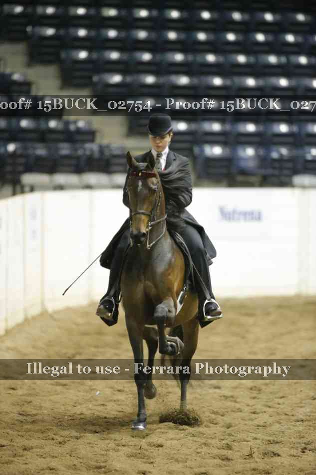 Proof 15BUCK_02754