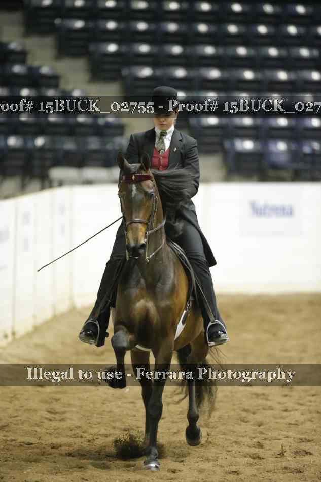 Proof 15BUCK_02755