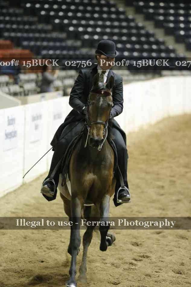 Proof 15BUCK_02756