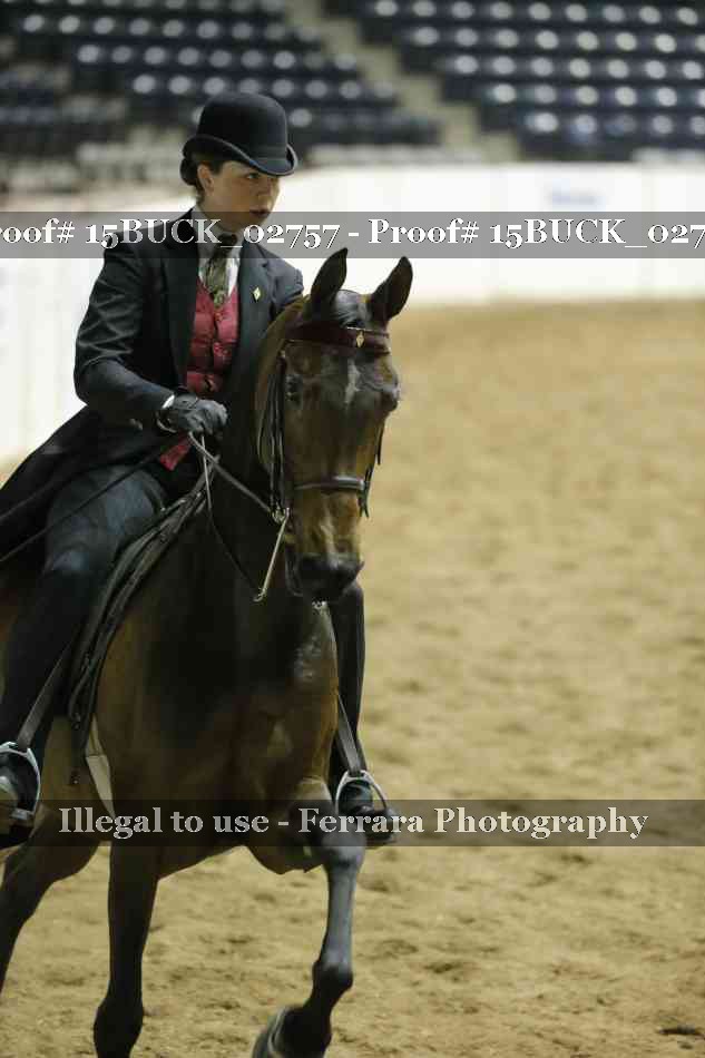 Proof 15BUCK_02757
