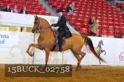 15BUCK_02758 proof
