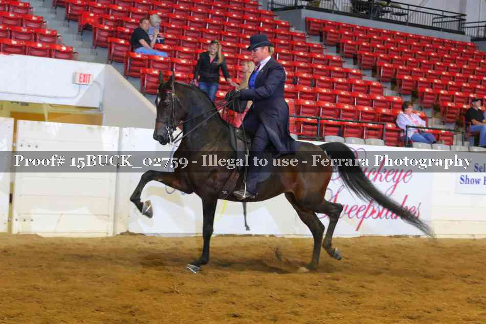 Proof 15BUCK_02759