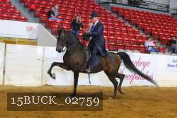 15BUCK_02759 proof