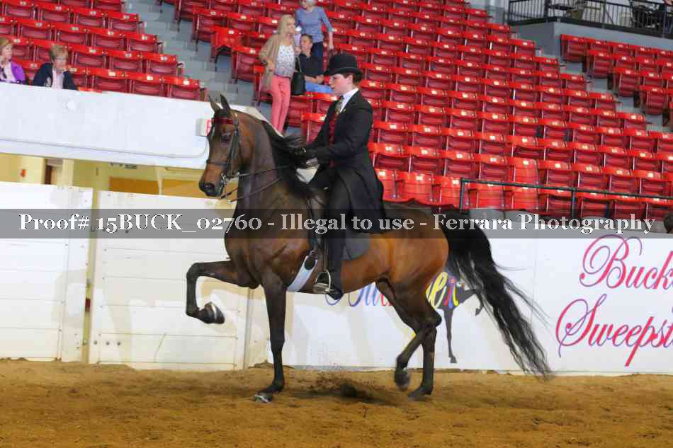 Proof 15BUCK_02760