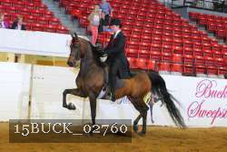 15BUCK_02760 proof