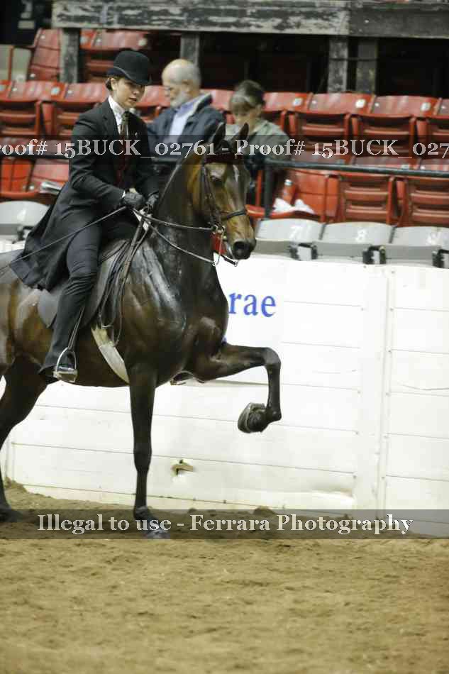Proof 15BUCK_02761