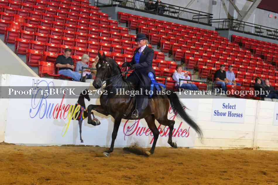 Proof 15BUCK_02762