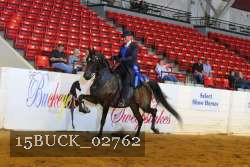 15BUCK_02762 proof