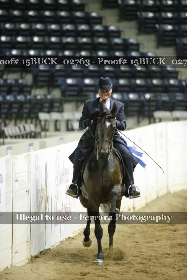 Proof 15BUCK_02763