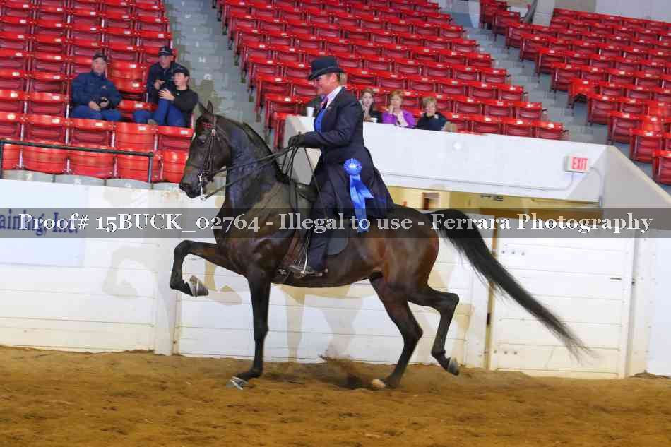 Proof 15BUCK_02764