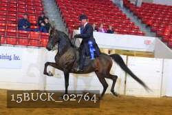 15BUCK_02764 proof